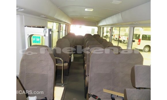 Buy Import Toyota Coaster White Car in Import - Dubai in Aragatsotn Buy Import Toyota Coaster White Car in Import - Dubai in Aragatsotn