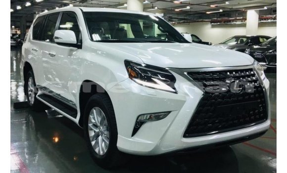 Buy Import Lexus GX White Car in Import - Dubai in Aragatsotn Buy Import Lexus GX White Car in Import - Dubai in Aragatsotn