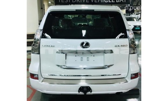 Buy Import Lexus GX White Car in Import - Dubai in Aragatsotn Buy Import Lexus GX White Car in Import - Dubai in Aragatsotn