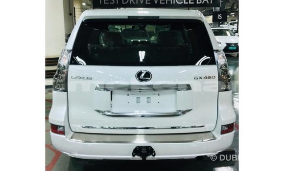 Buy Import Lexus GX White Car in Import - Dubai in Aragatsotn Buy Import Lexus GX White Car in Import - Dubai in Aragatsotn