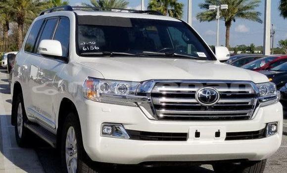 Buy Used Toyota Land Cruiser White Car in Yerevan in Yerevan