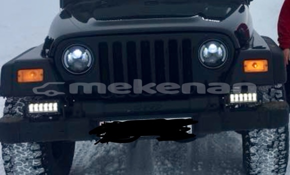 Buy Used Jeep Wrangler Black Car in Yerevan in Yerevan