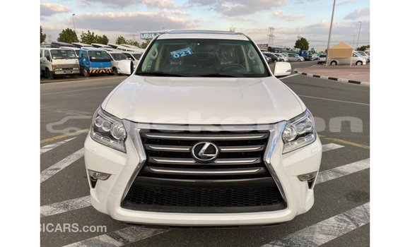 Buy Import Lexus GX White Car in Import - Dubai in Aragatsotn Buy Import Lexus GX White Car in Import - Dubai in Aragatsotn