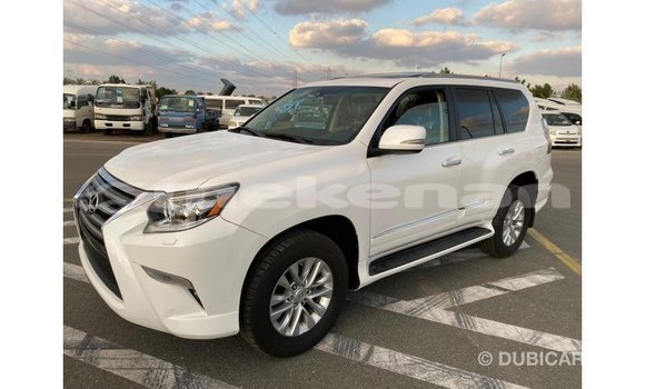 Buy Import Lexus GX White Car in Import - Dubai in Aragatsotn Buy Import Lexus GX White Car in Import - Dubai in Aragatsotn