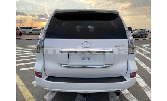 Buy Import Lexus GX White Car in Import - Dubai in Aragatsotn Buy Import Lexus GX White Car in Import - Dubai in Aragatsotn