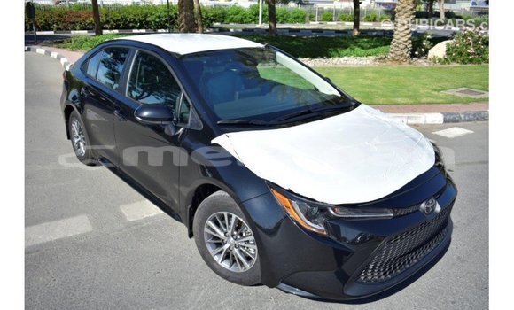 Buy Import Toyota Corolla Black Car in Import - Dubai in Aragatsotn Buy Import Toyota Corolla Black Car in Import - Dubai in Aragatsotn