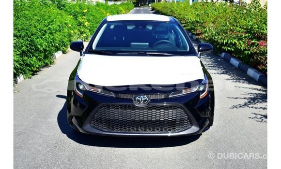 Buy Import Toyota Corolla Black Car in Import - Dubai in Aragatsotn Buy Import Toyota Corolla Black Car in Import - Dubai in Aragatsotn