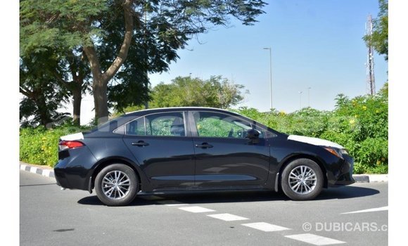 Buy Import Toyota Corolla Black Car in Import - Dubai in Aragatsotn Buy Import Toyota Corolla Black Car in Import - Dubai in Aragatsotn