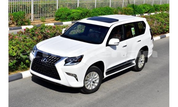 Buy Import Lexus GX White Car in Import - Dubai in Aragatsotn Buy Import Lexus GX White Car in Import - Dubai in Aragatsotn