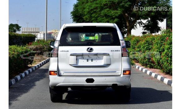 Buy Import Lexus GX White Car in Import - Dubai in Aragatsotn Buy Import Lexus GX White Car in Import - Dubai in Aragatsotn