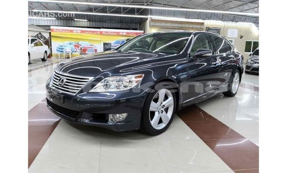 Buy Import Lexus LS Other Car in Import - Dubai in Aragatsotn Buy Import Lexus LS Other Car in Import - Dubai in Aragatsotn