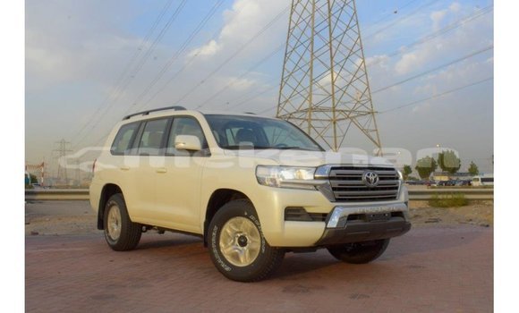 Buy Import Toyota Land Cruiser White Car in Import - Dubai in Aragatsotn Buy Import Toyota Land Cruiser White Car in Import - Dubai in Aragatsotn