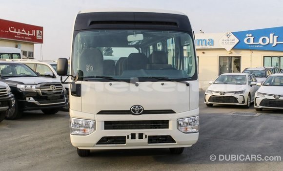 Buy Import Toyota Coaster White Car in Import - Dubai in Aragatsotn Buy Import Toyota Coaster White Car in Import - Dubai in Aragatsotn
