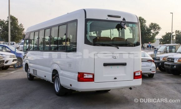 Buy Import Toyota Coaster White Car in Import - Dubai in Aragatsotn Buy Import Toyota Coaster White Car in Import - Dubai in Aragatsotn