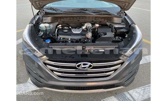 Buy Import Hyundai Tucson Other Car in Import - Dubai in Aragatsotn Buy Import Hyundai Tucson Other Car in Import - Dubai in Aragatsotn