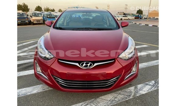 Buy Import Hyundai Elantra Red Car in Import - Dubai in Aragatsotn Buy Import Hyundai Elantra Red Car in Import - Dubai in Aragatsotn