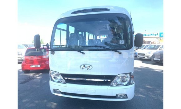 Buy Import Hyundai Chorus White Truck in Import - Dubai in Aragatsotn