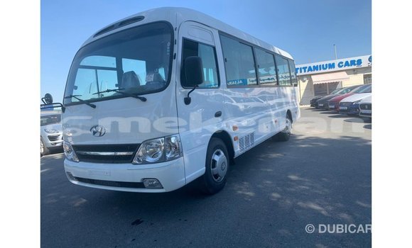 Buy Import Hyundai Chorus White Truck in Import - Dubai in Aragatsotn Buy Import Hyundai Chorus White Truck in Import - Dubai in Aragatsotn