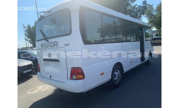 Buy Import Hyundai Chorus White Truck in Import - Dubai in Aragatsotn Buy Import Hyundai Chorus White Truck in Import - Dubai in Aragatsotn