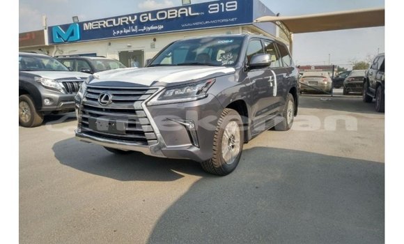 Buy Import Lexus LX Other Car in Import - Dubai in Aragatsotn Buy Import Lexus LX Other Car in Import - Dubai in Aragatsotn