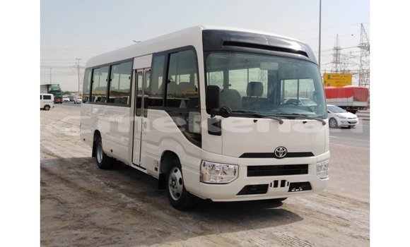 Buy Import Toyota Coaster White Car in Import - Dubai in Aragatsotn Buy Import Toyota Coaster White Car in Import - Dubai in Aragatsotn