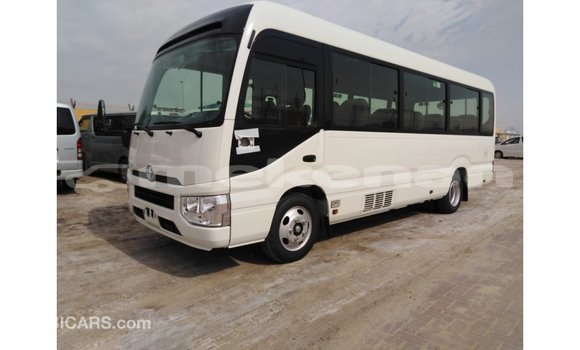 Buy Import Toyota Coaster White Car in Import - Dubai in Aragatsotn Buy Import Toyota Coaster White Car in Import - Dubai in Aragatsotn