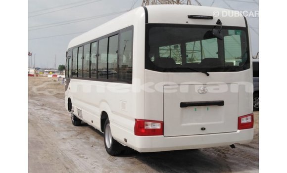 Buy Import Toyota Coaster White Car in Import - Dubai in Aragatsotn Buy Import Toyota Coaster White Car in Import - Dubai in Aragatsotn
