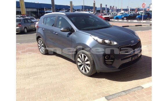 Buy Import Kia Sportage Blue Car in Import - Dubai in Aragatsotn Buy Import Kia Sportage Blue Car in Import - Dubai in Aragatsotn