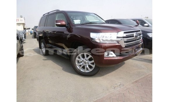 Buy Import Toyota Land Cruiser Other Car in Import - Dubai in Aragatsotn Buy Import Toyota Land Cruiser Other Car in Import - Dubai in Aragatsotn