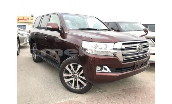 Buy Import Toyota Land Cruiser Other Car in Import - Dubai in Aragatsotn Buy Import Toyota Land Cruiser Other Car in Import - Dubai in Aragatsotn