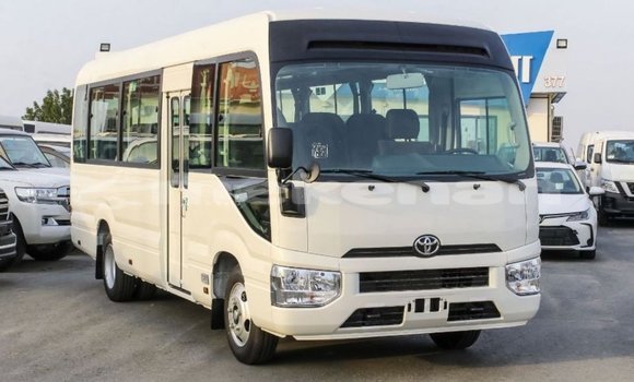 Buy Import Toyota Coaster White Car in Import - Dubai in Aragatsotn Buy Import Toyota Coaster White Car in Import - Dubai in Aragatsotn