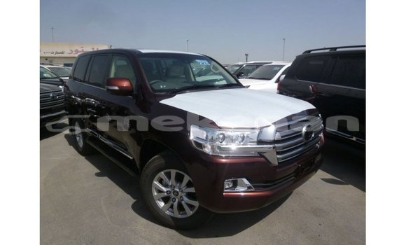 Buy Import Toyota Land Cruiser Other Car in Import - Dubai in Aragatsotn Buy Import Toyota Land Cruiser Other Car in Import - Dubai in Aragatsotn