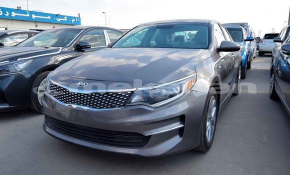 Buy Import Kia Optima Other Car in Import - Dubai in Aragatsotn Buy Import Kia Optima Other Car in Import - Dubai in Aragatsotn
