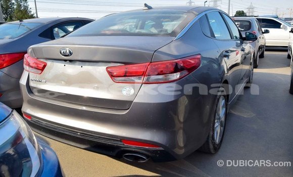 Buy Import Kia Optima Other Car in Import - Dubai in Aragatsotn Buy Import Kia Optima Other Car in Import - Dubai in Aragatsotn