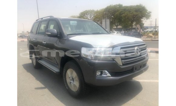 Buy Import Toyota Land Cruiser Other Car in Import - Dubai in Aragatsotn Buy Import Toyota Land Cruiser Other Car in Import - Dubai in Aragatsotn