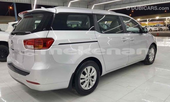 Buy Import Kia Carnival Other Car in Import - Dubai in Aragatsotn Buy Import Kia Carnival Other Car in Import - Dubai in Aragatsotn