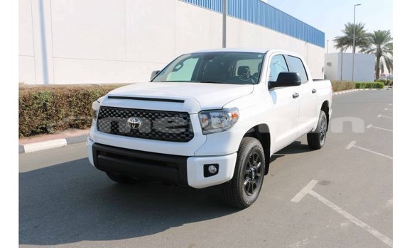 Buy Import Toyota Tundra White Car in Import - Dubai in Aragatsotn Buy Import Toyota Tundra White Car in Import - Dubai in Aragatsotn