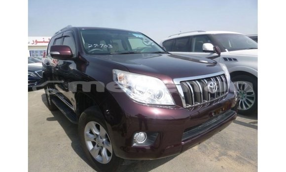Buy Import Toyota Prado Other Car in Import - Dubai in Aragatsotn Buy Import Toyota Prado Other Car in Import - Dubai in Aragatsotn