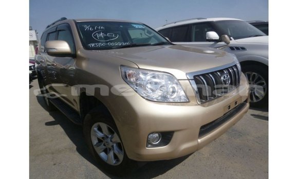 Buy Import Toyota Prado Other Car in Import - Dubai in Aragatsotn Buy Import Toyota Prado Other Car in Import - Dubai in Aragatsotn