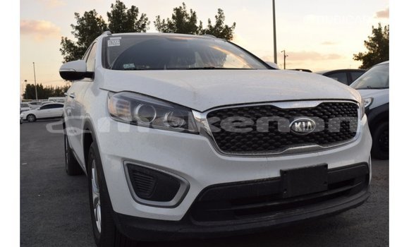 Buy Import Kia Sorento White Car in Import - Dubai in Aragatsotn