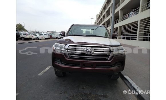 Buy Import Toyota Land Cruiser Brown Car in Import - Dubai in Aragatsotn Buy Import Toyota Land Cruiser Brown Car in Import - Dubai in Aragatsotn