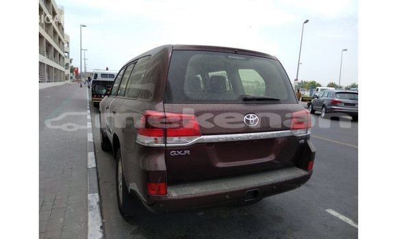 Buy Import Toyota Land Cruiser Brown Car in Import - Dubai in Aragatsotn Buy Import Toyota Land Cruiser Brown Car in Import - Dubai in Aragatsotn