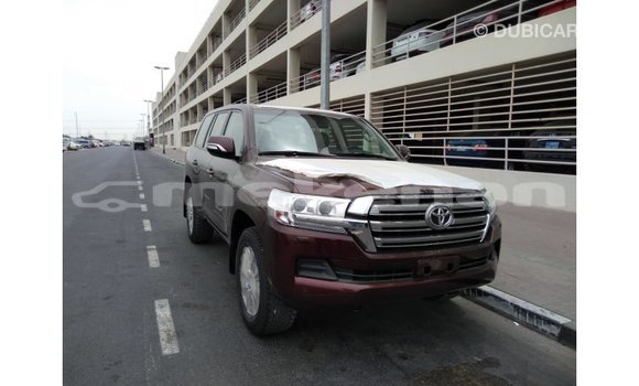 Buy Import Toyota Land Cruiser Brown Car in Import - Dubai in Aragatsotn Buy Import Toyota Land Cruiser Brown Car in Import - Dubai in Aragatsotn