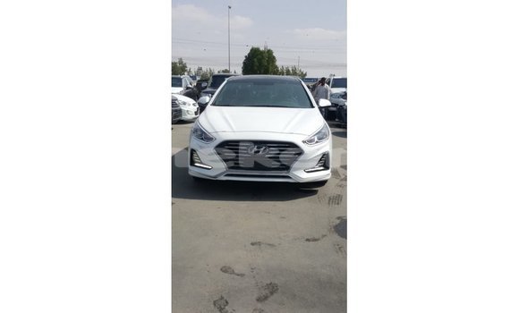 Buy Import Hyundai Sonata White Car in Import - Dubai in Aragatsotn Buy Import Hyundai Sonata White Car in Import - Dubai in Aragatsotn