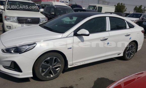 Buy Import Hyundai Sonata White Car in Import - Dubai in Aragatsotn Buy Import Hyundai Sonata White Car in Import - Dubai in Aragatsotn