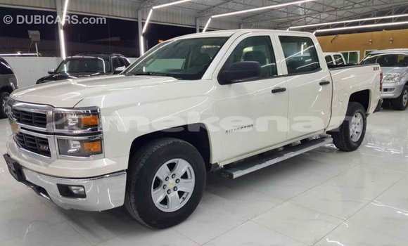 Buy Import Chevrolet Silverado White Car in Import - Dubai in Aragatsotn Buy Import Chevrolet Silverado White Car in Import - Dubai in Aragatsotn