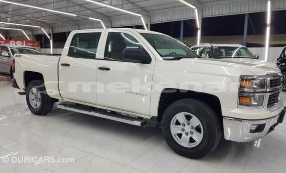 Buy Import Chevrolet Silverado White Car in Import - Dubai in Aragatsotn Buy Import Chevrolet Silverado White Car in Import - Dubai in Aragatsotn