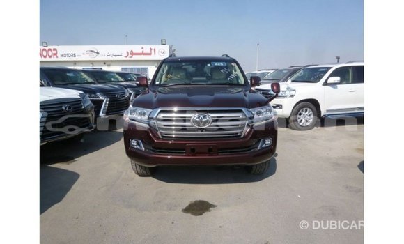 Buy Import Toyota Land Cruiser Brown Car in Import - Dubai in Aragatsotn Buy Import Toyota Land Cruiser Brown Car in Import - Dubai in Aragatsotn