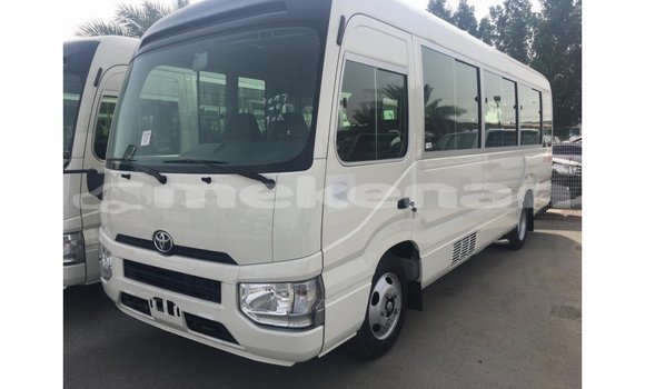 Buy Import Toyota Coaster White Car in Import - Dubai in Aragatsotn Buy Import Toyota Coaster White Car in Import - Dubai in Aragatsotn