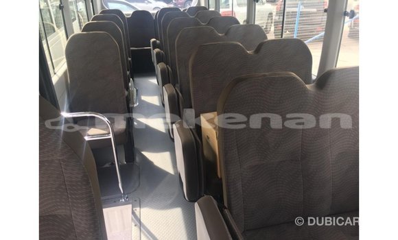 Buy Import Toyota Coaster White Car in Import - Dubai in Aragatsotn Buy Import Toyota Coaster White Car in Import - Dubai in Aragatsotn